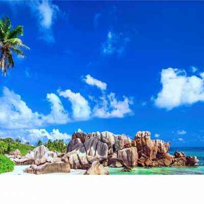 best365官网手机版app下载